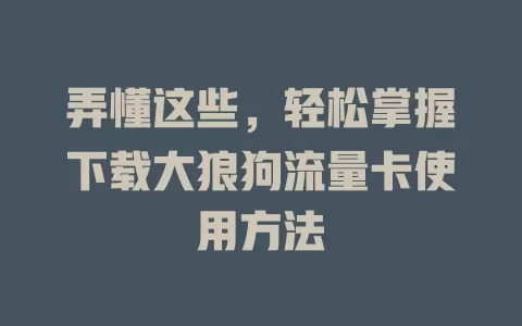 弄懂这些，轻松掌握下载大狼狗流量卡使用方法