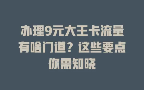 办理9元大王卡流量有啥门道？这些要点你需知晓