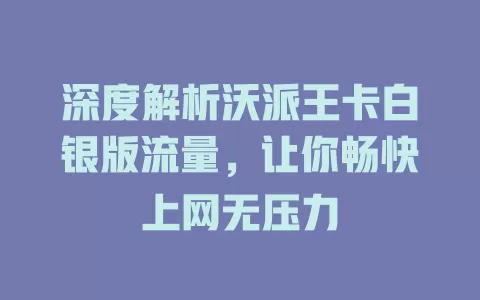 深度解析沃派王卡白银版流量，让你畅快上网无压力