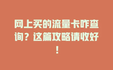 网上买的流量卡咋查询？这篇攻略请收好！
