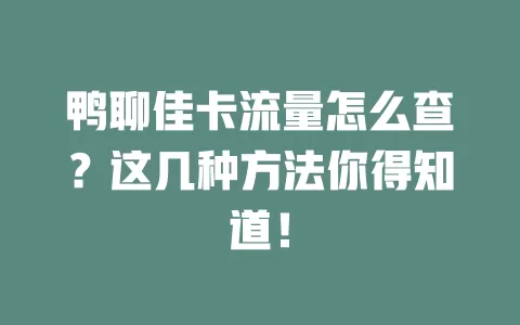 鸭聊佳卡流量怎么查？这几种方法你得知道！