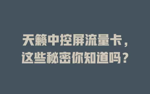 天籁中控屏流量卡，这些秘密你知道吗？