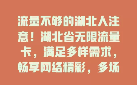 流量不够的湖北人注意！湖北省无限流量卡，满足多样需求，畅享网络精彩，多场景可用，快来升级网络生活！