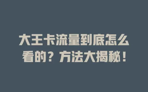 大王卡流量到底怎么看的？方法大揭秘！