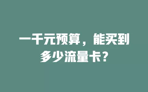 一千元预算，能买到多少流量卡？