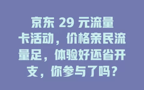 京东 29 元流量卡活动，价格亲民流量足，体验好还省开支，你参与了吗？