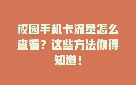 校园手机卡流量怎么查看？这些方法你得知道！