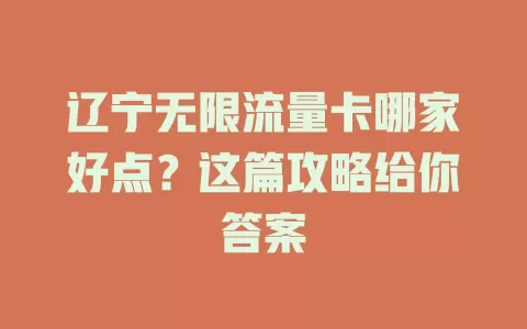 辽宁无限流量卡哪家好点？这篇攻略给你答案