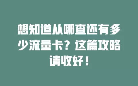 想知道从哪查还有多少流量卡？这篇攻略请收好！
