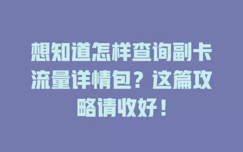 想知道怎样查询副卡流量详情包？这篇攻略请收好！