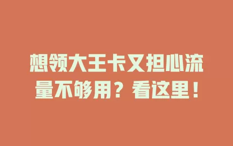 想领大王卡又担心流量不够用？看这里！