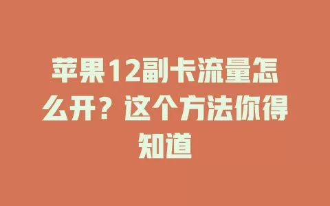 苹果12副卡流量怎么开？这个方法你得知道