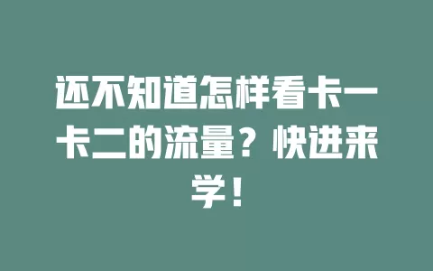 还不知道怎样看卡一卡二的流量？快进来学！