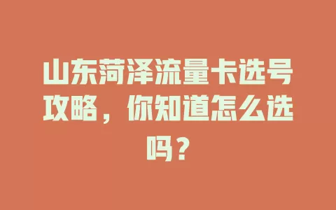 山东菏泽流量卡选号攻略，你知道怎么选吗？
