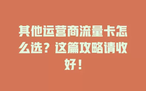 其他运营商流量卡怎么选？这篇攻略请收好！