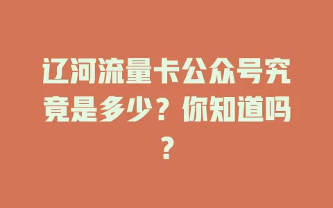 辽河流量卡公众号究竟是多少？你知道吗？