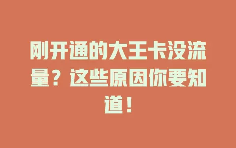 刚开通的大王卡没流量？这些原因你要知道！