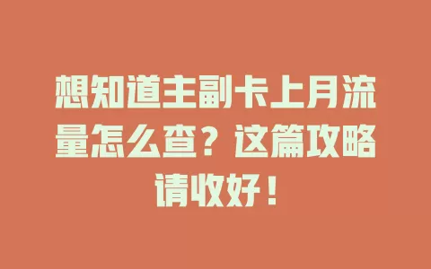 想知道主副卡上月流量怎么查？这篇攻略请收好！