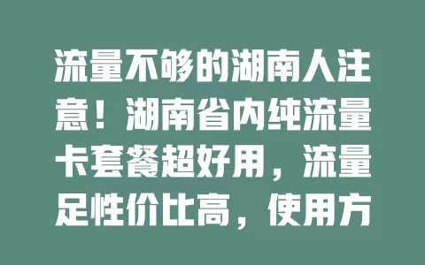 流量不够的湖南人注意！湖南省内纯流量卡套餐超好用，流量足性价比高，使用方便，助你畅享网络，摆脱流量困扰