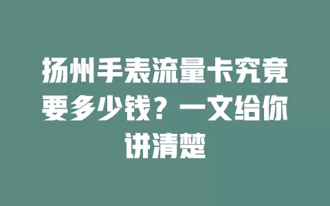扬州手表流量卡究竟要多少钱？一文给你讲清楚