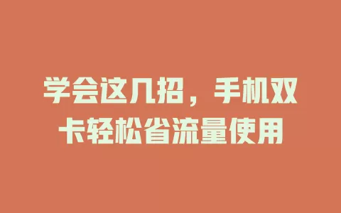 学会这几招，手机双卡轻松省流量使用