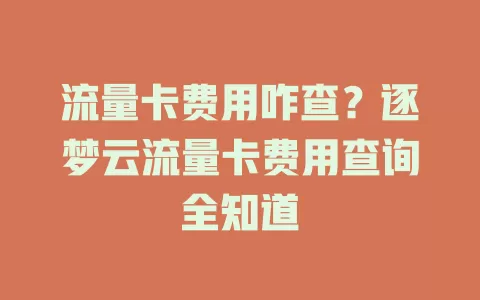 流量卡费用咋查？逐梦云流量卡费用查询全知道