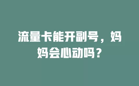 流量卡能开副号，妈妈会心动吗？