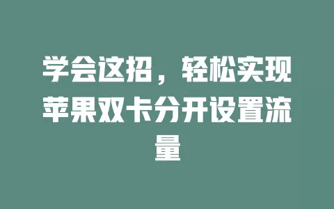 学会这招，轻松实现苹果双卡分开设置流量