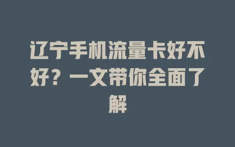 辽宁手机流量卡好不好？一文带你全面了解