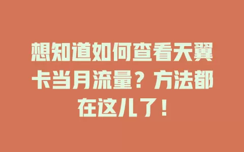 想知道如何查看天翼卡当月流量？方法都在这儿了！