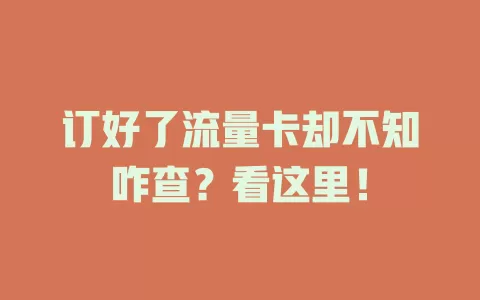 订好了流量卡却不知咋查？看这里！