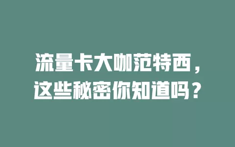 流量卡大咖范特西，这些秘密你知道吗？