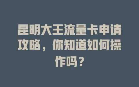 昆明大王流量卡申请攻略，你知道如何操作吗？