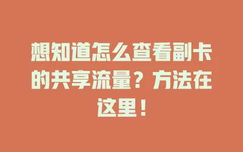 想知道怎么查看副卡的共享流量？方法在这里！