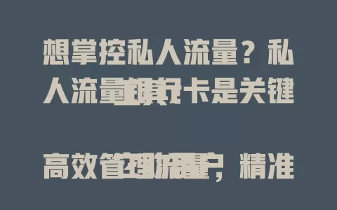 想掌控私人流量？私人流量银行卡是关键工具！

它助用户高效管理流量，精准分析数据。个人能打造品牌，企业可定制策略。还有强大分析功能与安全保障，助你挖掘无限价值，开启流量掌控大门！
