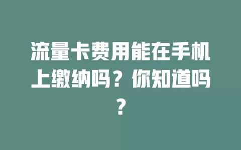 流量卡费用能在手机上缴纳吗？你知道吗？