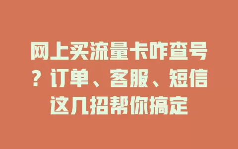 网上买流量卡咋查号？订单、客服、短信这几招帮你搞定
