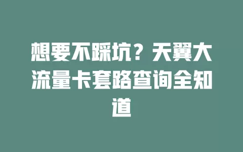 想要不踩坑？天翼大流量卡套路查询全知道