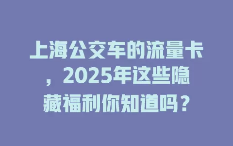 上海公交车的流量卡，2025年这些隐藏福利你知道吗？