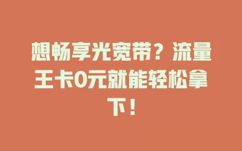 想畅享光宽带？流量王卡0元就能轻松拿下！