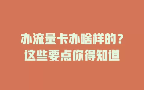 办流量卡办啥样的？这些要点你得知道