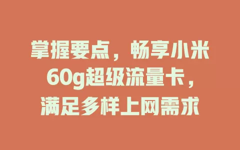 掌握要点，畅享小米60g超级流量卡，满足多样上网需求