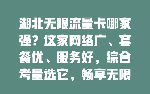 湖北无限流量卡哪家强？这家网络广、套餐优、服务好，综合考量选它，畅享无限流量精彩网络生活！