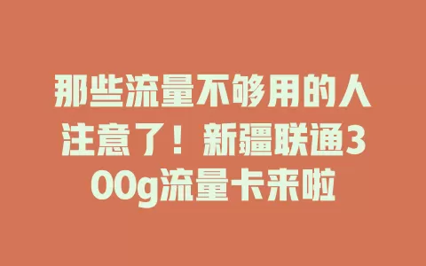 那些流量不够用的人注意了！新疆联通300g流量卡来啦