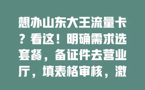 想办山东大王流量卡？看这！明确需求选套餐，备证件去营业厅，填表格审核，激活就能用，有问题找客服，按流程轻松办！