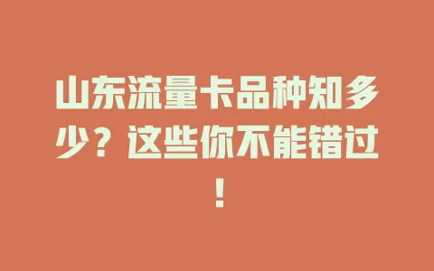 山东流量卡品种知多少？这些你不能错过！