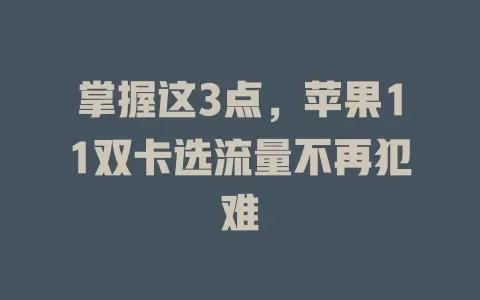 掌握这3点，苹果11双卡选流量不再犯难