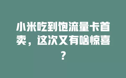 小米吃到饱流量卡首卖，这次又有啥惊喜？
