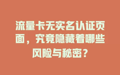 流量卡无实名认证页面，究竟隐藏着哪些风险与秘密？