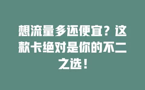 想流量多还便宜？这款卡绝对是你的不二之选！